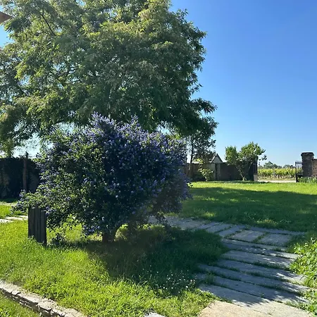 Les De Prázdninový dům *